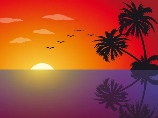 Тропический закат на пляже — стоковый вектор