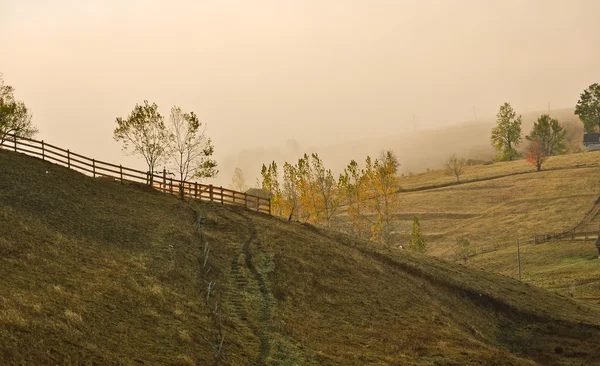 Осінній пейзаж з туманом — стокове фото