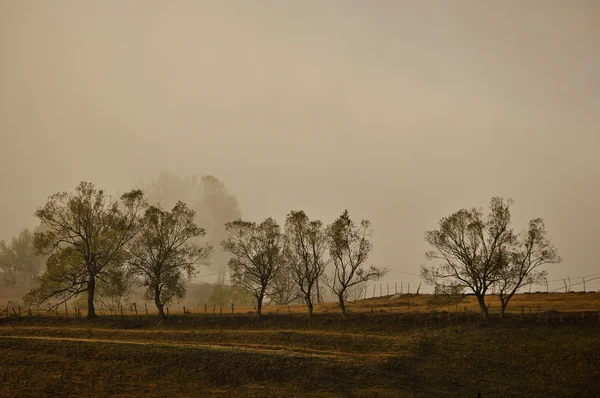 Ομίχλη το πρωί — Φωτογραφία Αρχείου