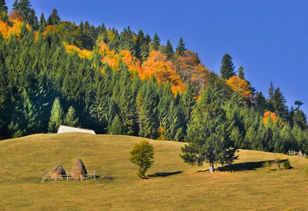 Cores de outono — Fotografia de Stock