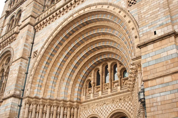 自然史博物館、ロンドン. — ストック写真