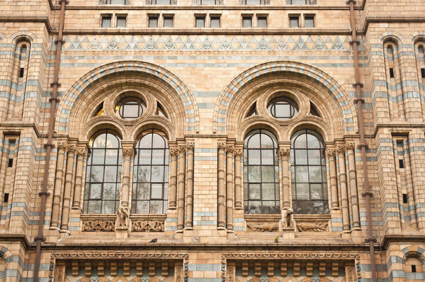Windows of Natural History Museum