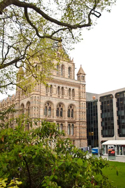 Naturhistoriska museet i London — Stockfoto