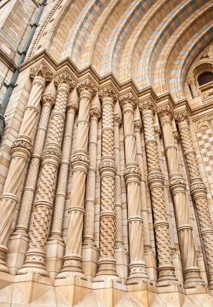 Stonework on National History Museum — Stock Photo, Image