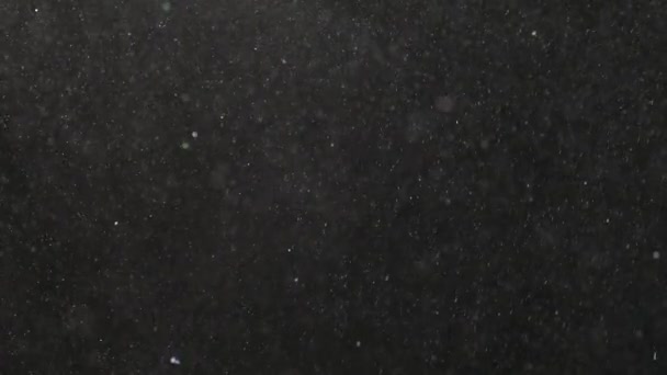 Dust in the air. Viruses and bacteria fly in space on a black background. Pollutes the air with small particles. Ecology and health. Snowflakes fall and fly. — Stock Video