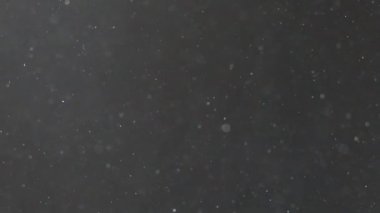 Havada toz var. Virüsler ve bakteriler siyah arka planda uzayda uçarlar. Havayı küçük parçacıklarla kirletir. Ekoloji ve sağlık. Kar taneleri düşer ve uçar.