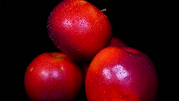 Pommes rouges mûres sur fond noir. Beaux fruits Vitamines de la nature. — Video