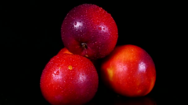 Mogna Våta Röda Äpplen Svart Bakgrund Vacker Frukt Vitaminer Från — Stockvideo