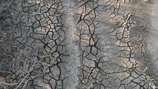 Klimatförändringar och ekologi. Sprucken jord. Torka och torr sjö. — Stockvideo