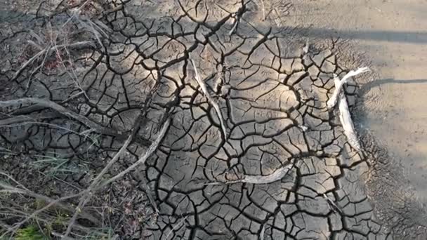 Изменение климата и экология. Расколотая земля. Засуха и сухое озеро. — стоковое видео