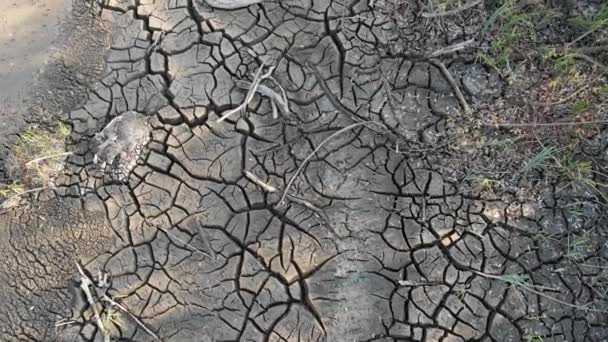 Klimawandel und Ökologie. Riss im Boden. Dürre und trockener See. — Stockvideo