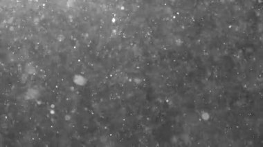 Havada toz var. Virüsler ve bakteriler siyah arka planda uzayda uçarlar. Havayı küçük parçacıklarla kirletir. Ekoloji ve sağlık. Kar taneleri düşer ve uçar.