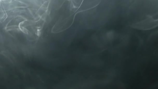 Silný Kouř Černém Pozadí Šedá Mlha Kouř Oheň — Stock video