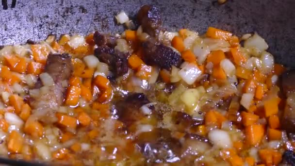 グーラッシュは調味料と肉で作られています 熱い皿から蒸気 釜の中のキッチン キッチンへらでかき混ぜてください キャンプファイアフード — ストック動画