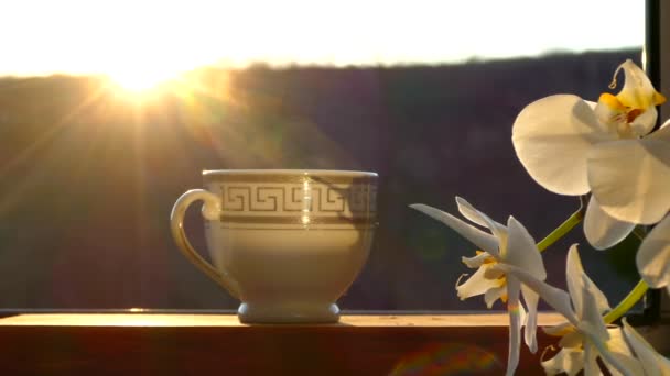 Kopje Koffie Een Zonsondergang Achtergrond Ochtendkoffie Bij Het Raam Met — Stockvideo