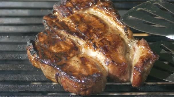 Filete Carne Fríe Parrilla Cocinar Comida Aire Libre Picnic — Vídeo de stock
