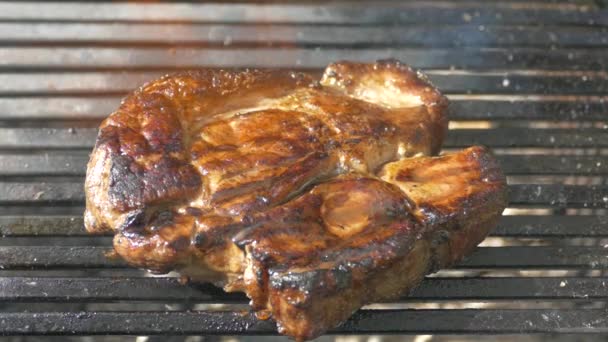 Filete Carne Fríe Parrilla Cocinar Comida Aire Libre Picnic — Vídeos de Stock