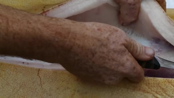 豚肉の死体をナイフで切りなさい 肉屋は脂肪を死体から分離する 農場の食肉店で働く — ストック動画