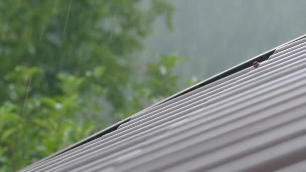 家の屋根の上に雨滴滴 雨水は屋根瓦に注ぐ 秋と梅雨 — ストック動画