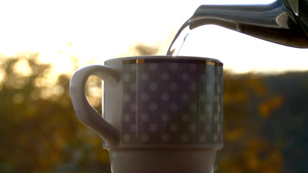 秋の天候や黄色の木を背景にカップから蒸気が立ち上がります 暖かい秋に屋外で熱いお茶を飲む — ストック動画