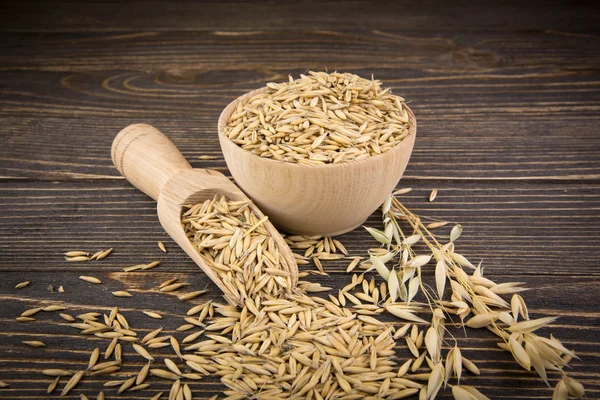 oat cereal grain