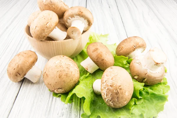 mushroom isolated on white wood background