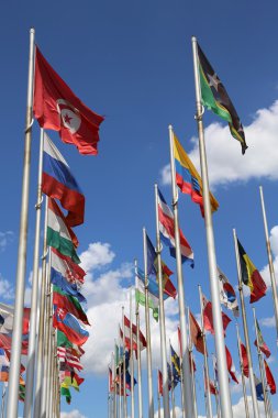 Dünyanın bayrakları