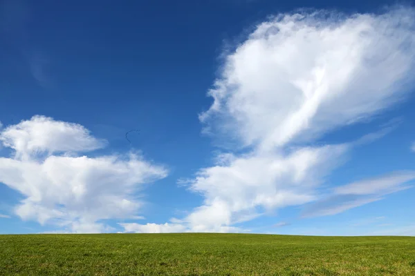 Groen gras en blauwe lucht achtergrond — Stockfoto