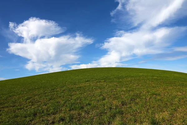 Grama verde e céu azul fundo — Fotografia de Stock