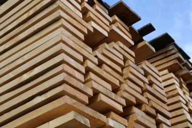 yığın kenar yönetim kurulu