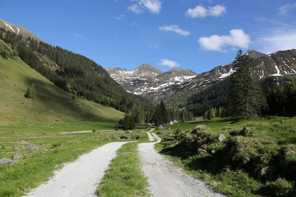 In den österreichischen Alpen — Stockfoto