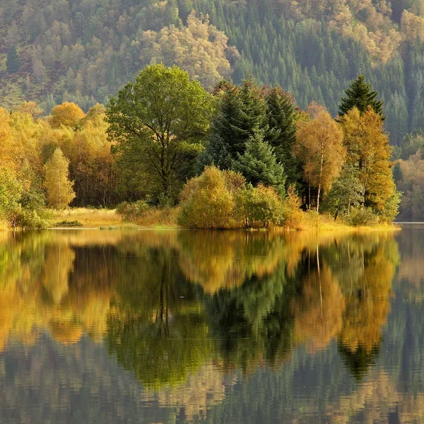 Bunte Herbstbäume — Stockfoto