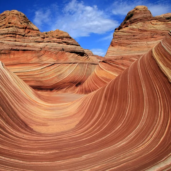 The Wave — Stock Photo, Image