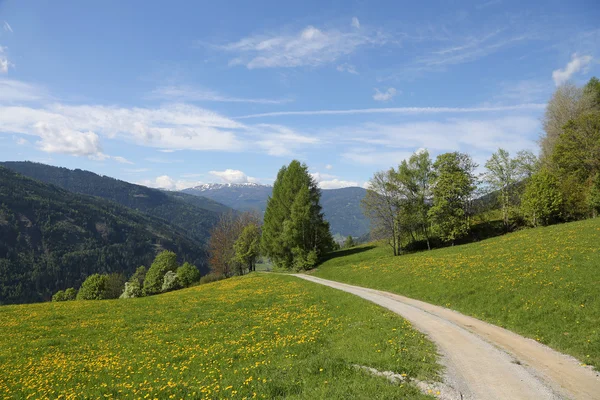 Rakouské Alpy — Stock fotografie