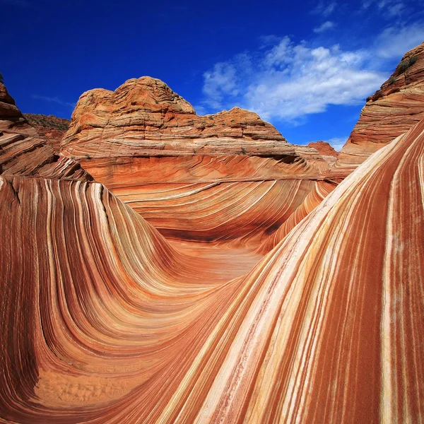 Maravilla de la naturaleza - La Ola — Foto de Stock