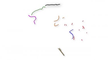 insan beyni animasyon