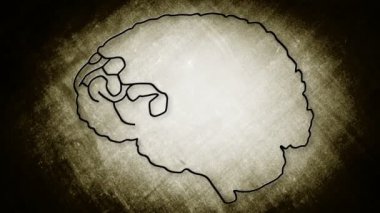 insan beyni animasyon