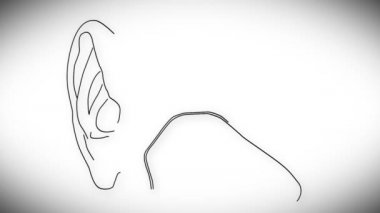insan kulağının animasyon