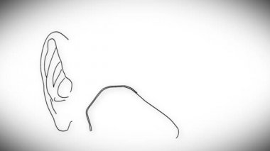 insan kulağının animasyon