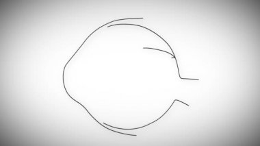 insan gözü animasyon