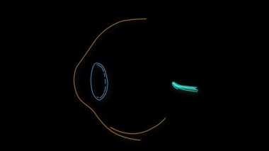 insan gözü animasyon