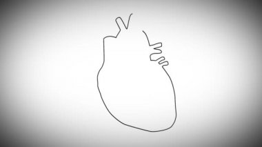 İnsan kalbi animasyonu
