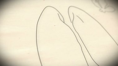 insan akciğer animasyon