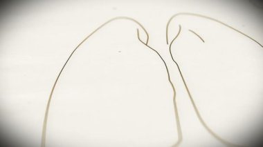 insan akciğer animasyon