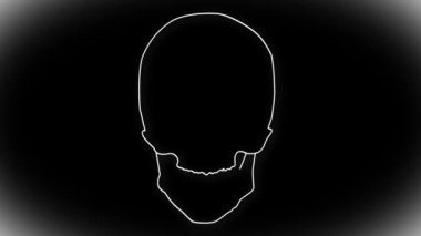 insan kafatası animasyon