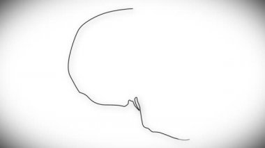 insan kafatası animasyon