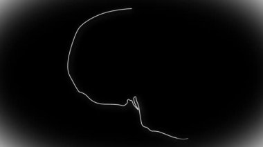 insan kafatası animasyon