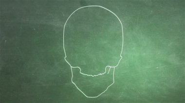 insan kafatası animasyon