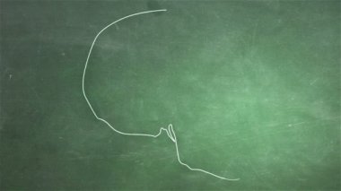 insan kafatası animasyon