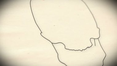 insan kafatası animasyon